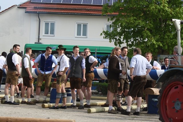 Maibaum 2013